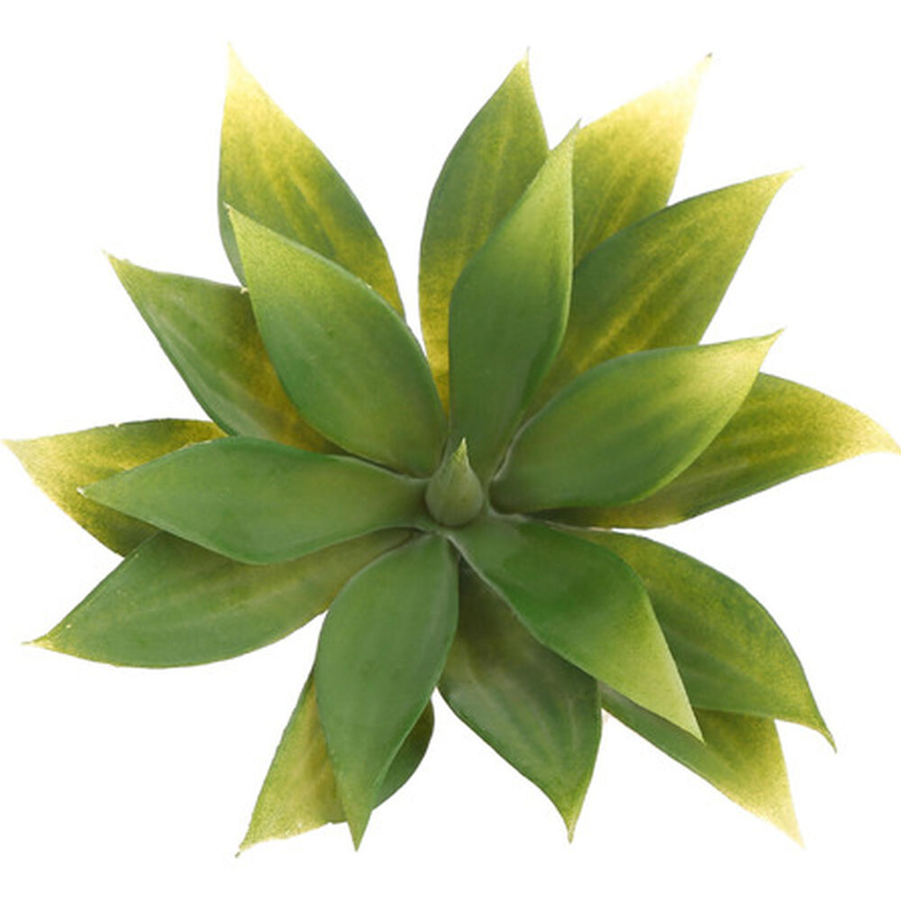 Suculenta Artificial image number 1.0
